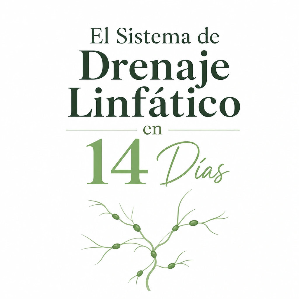 El Sistema de Drenaje Linfático en 14 Días