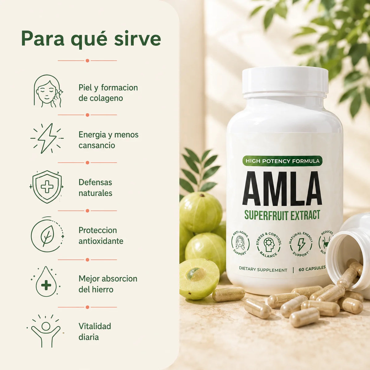 Amla Cápsulas