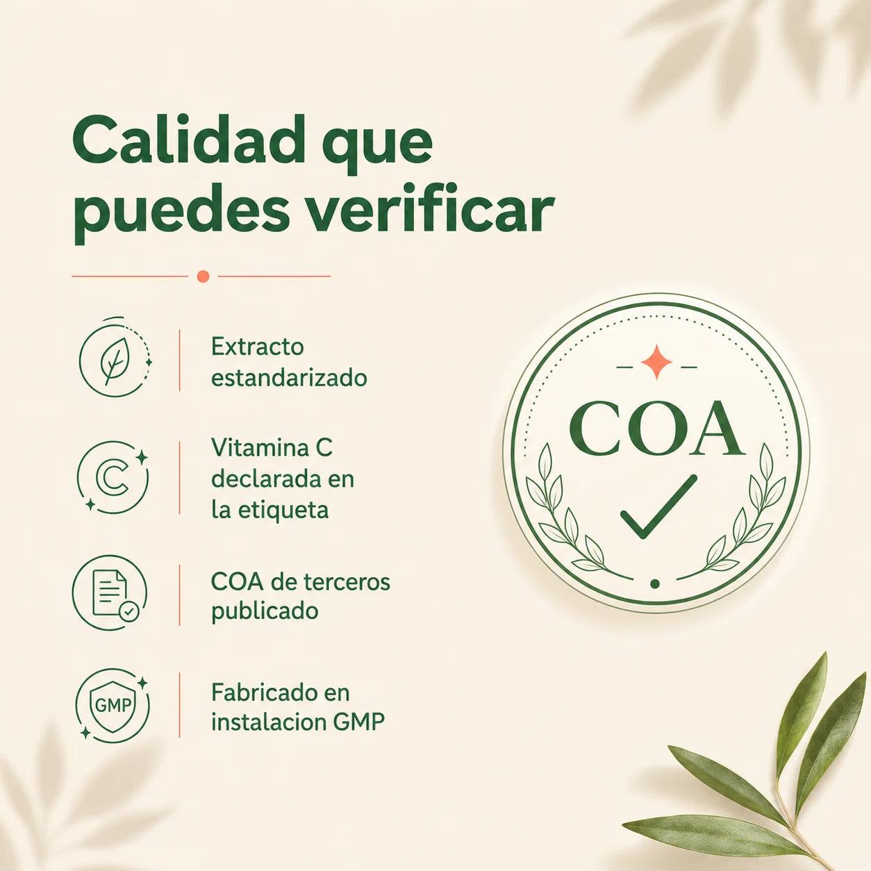 Amla Cápsulas