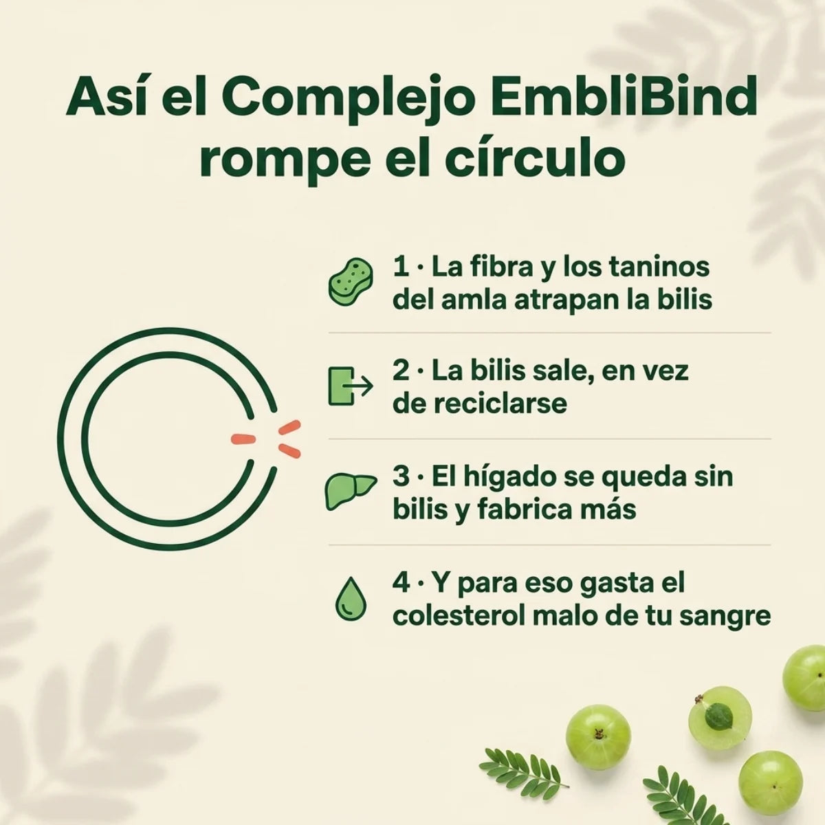 Amla Cápsulas