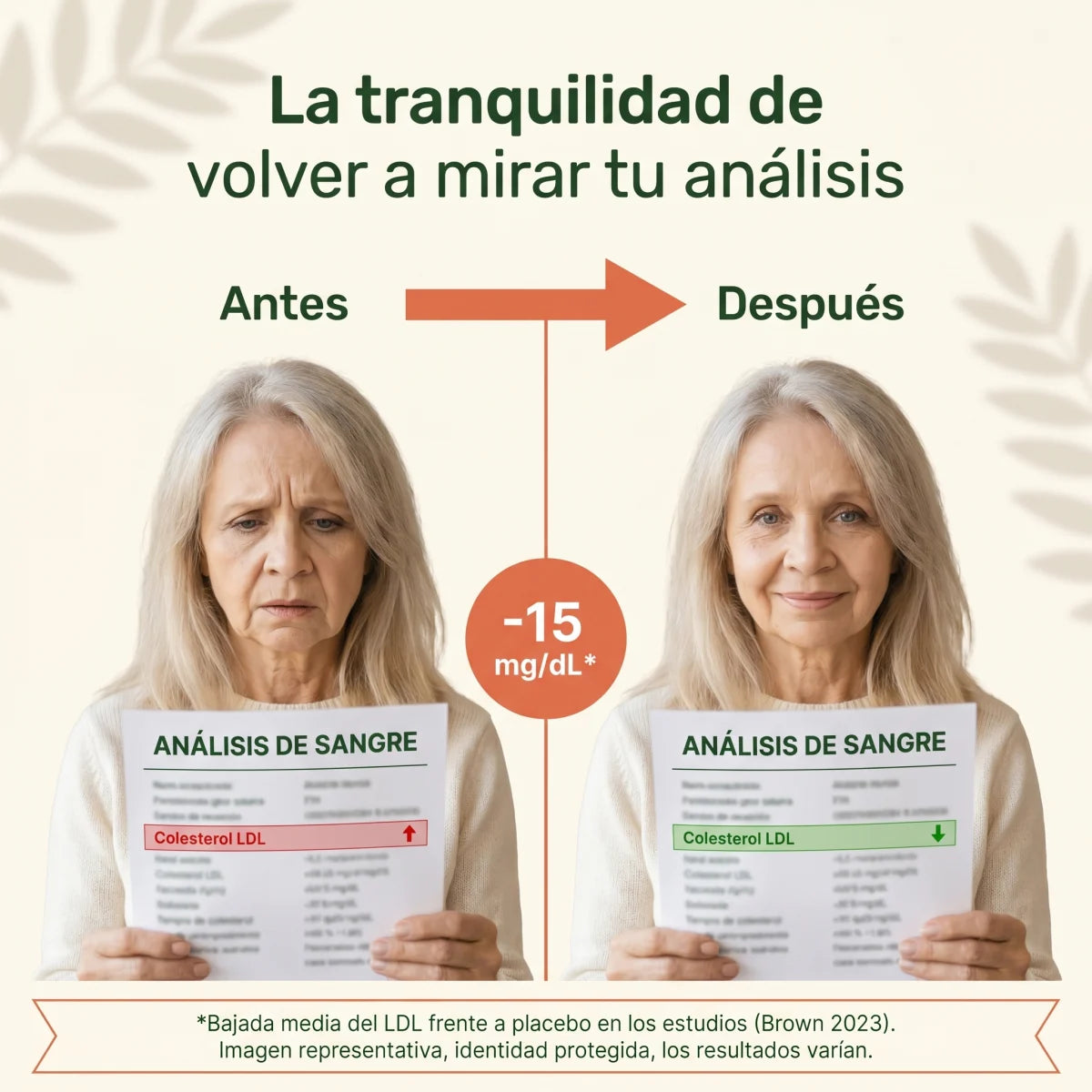 Amla Cápsulas