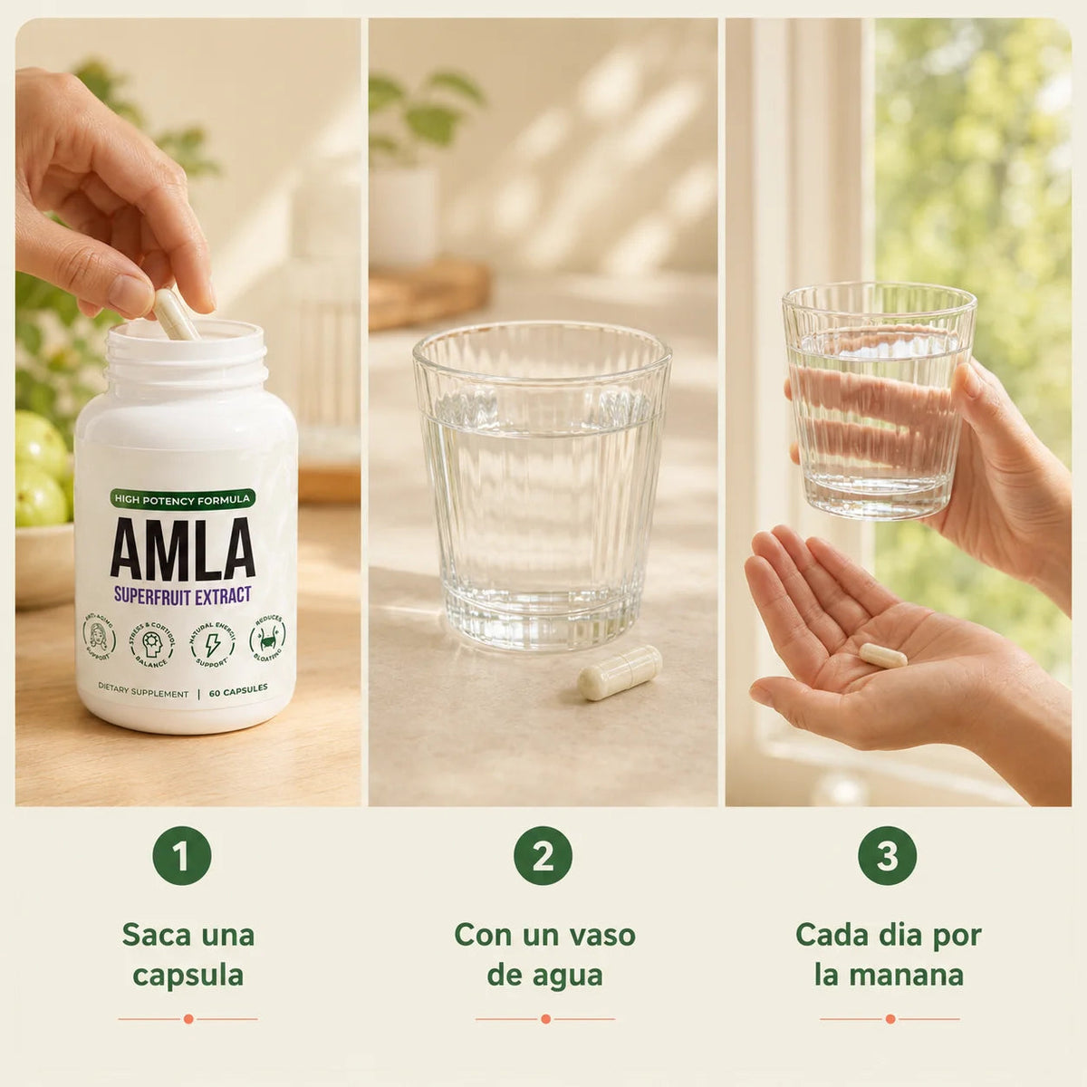 Amla Cápsulas