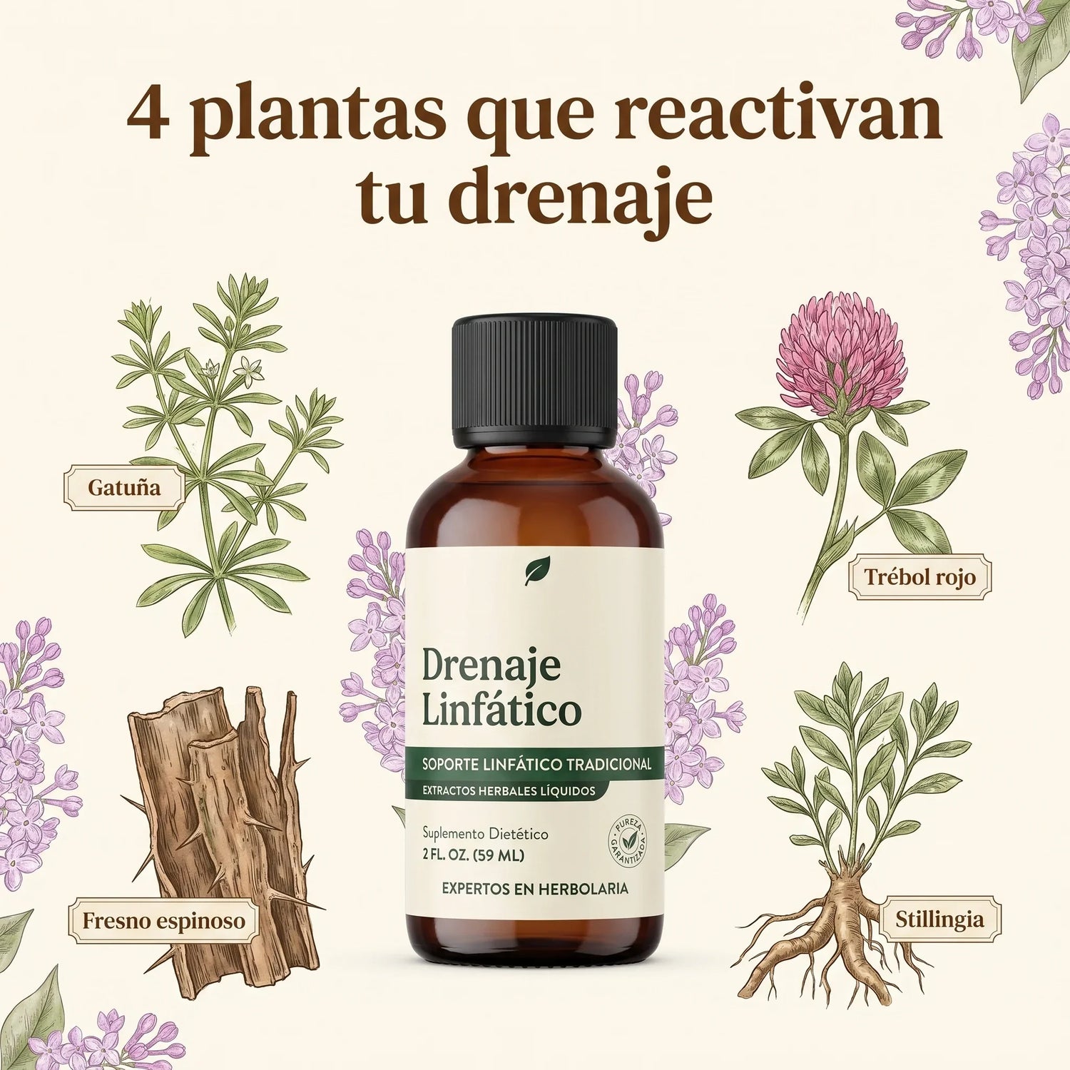 Drenaje Linfático slide 3