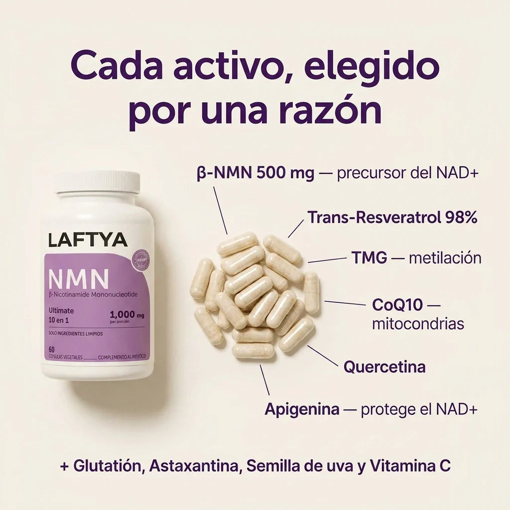 Laftya NMN · slide 2