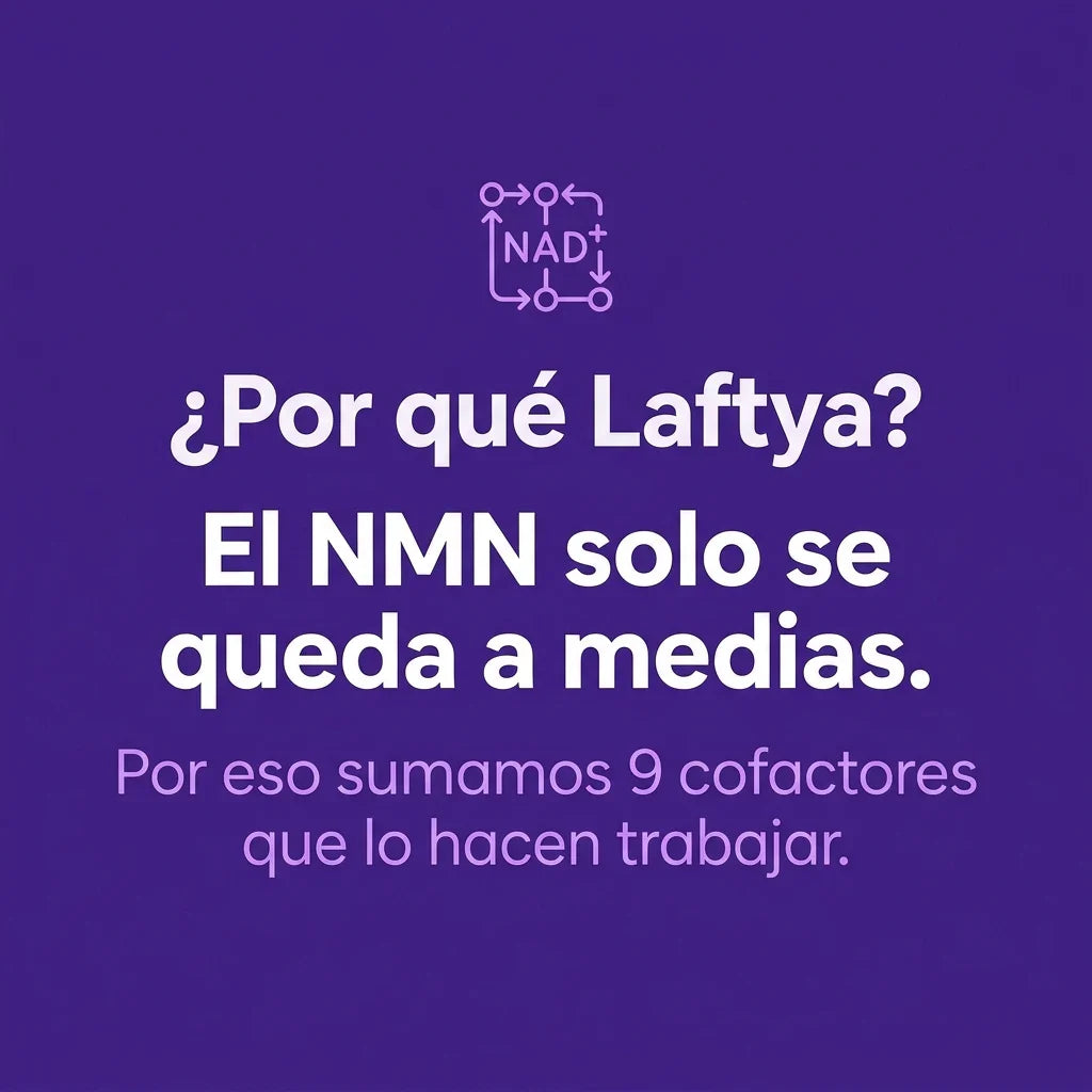 Laftya NMN · slide 4