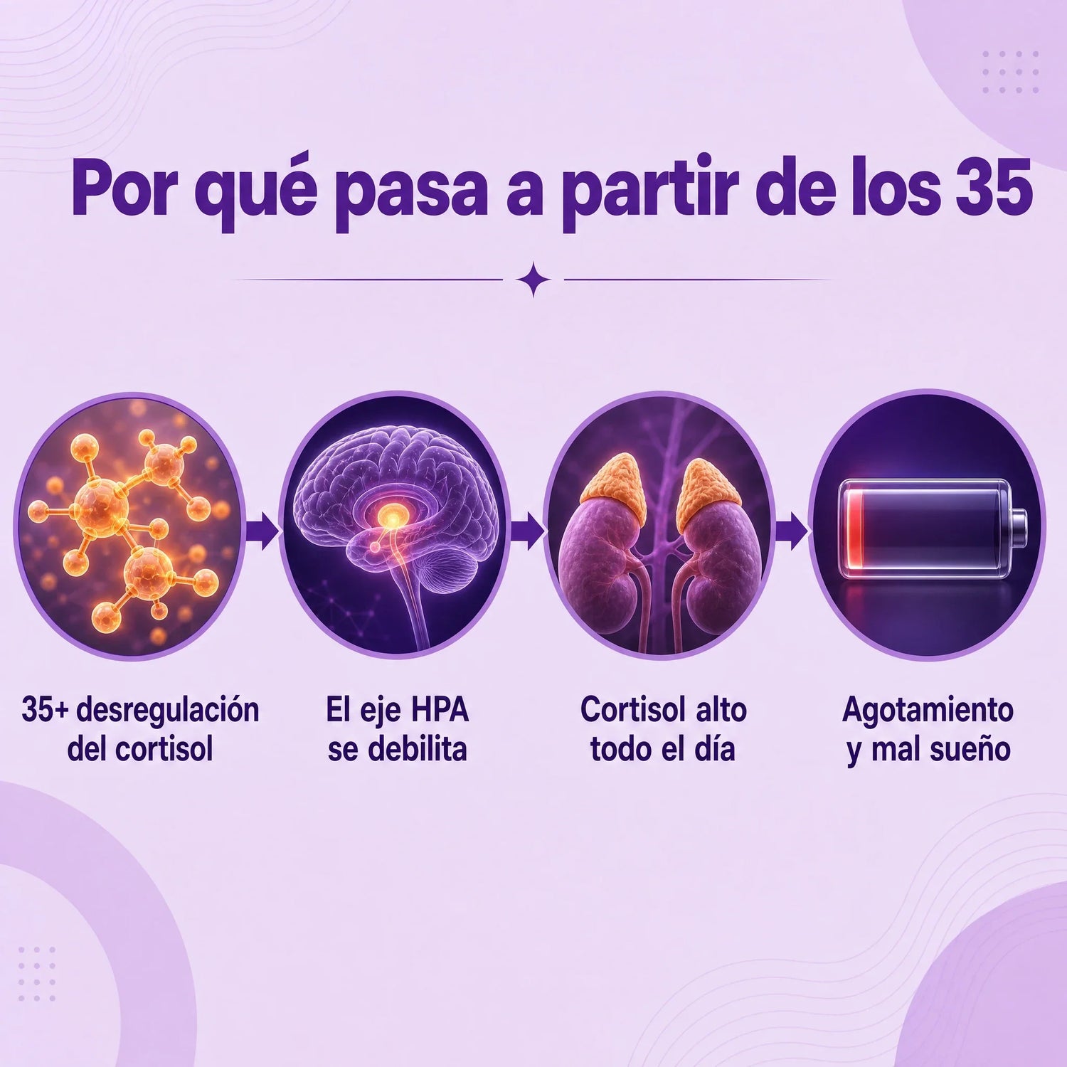 Rhodiola s2_why35