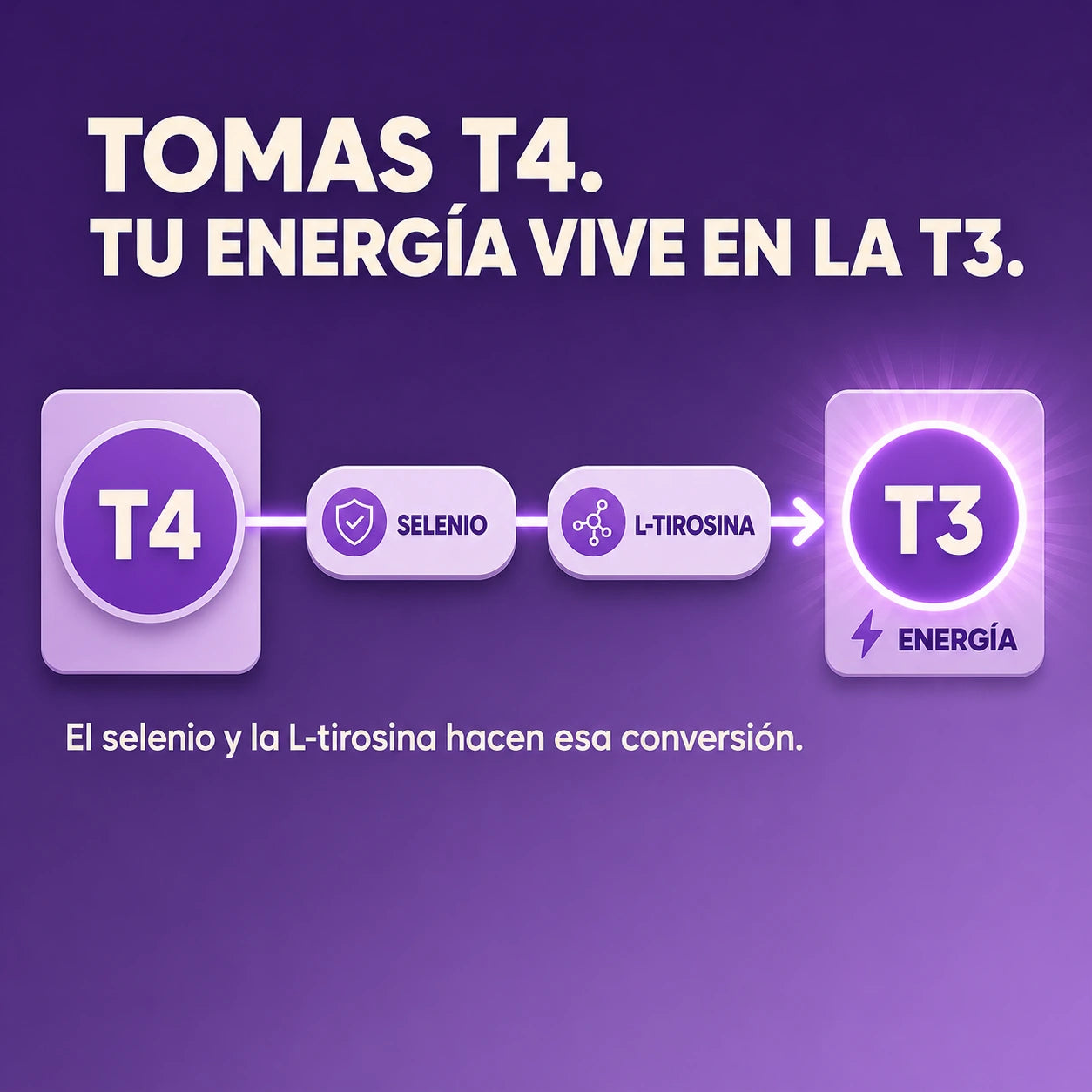 Laftya Equilibrio Tiroideo 2