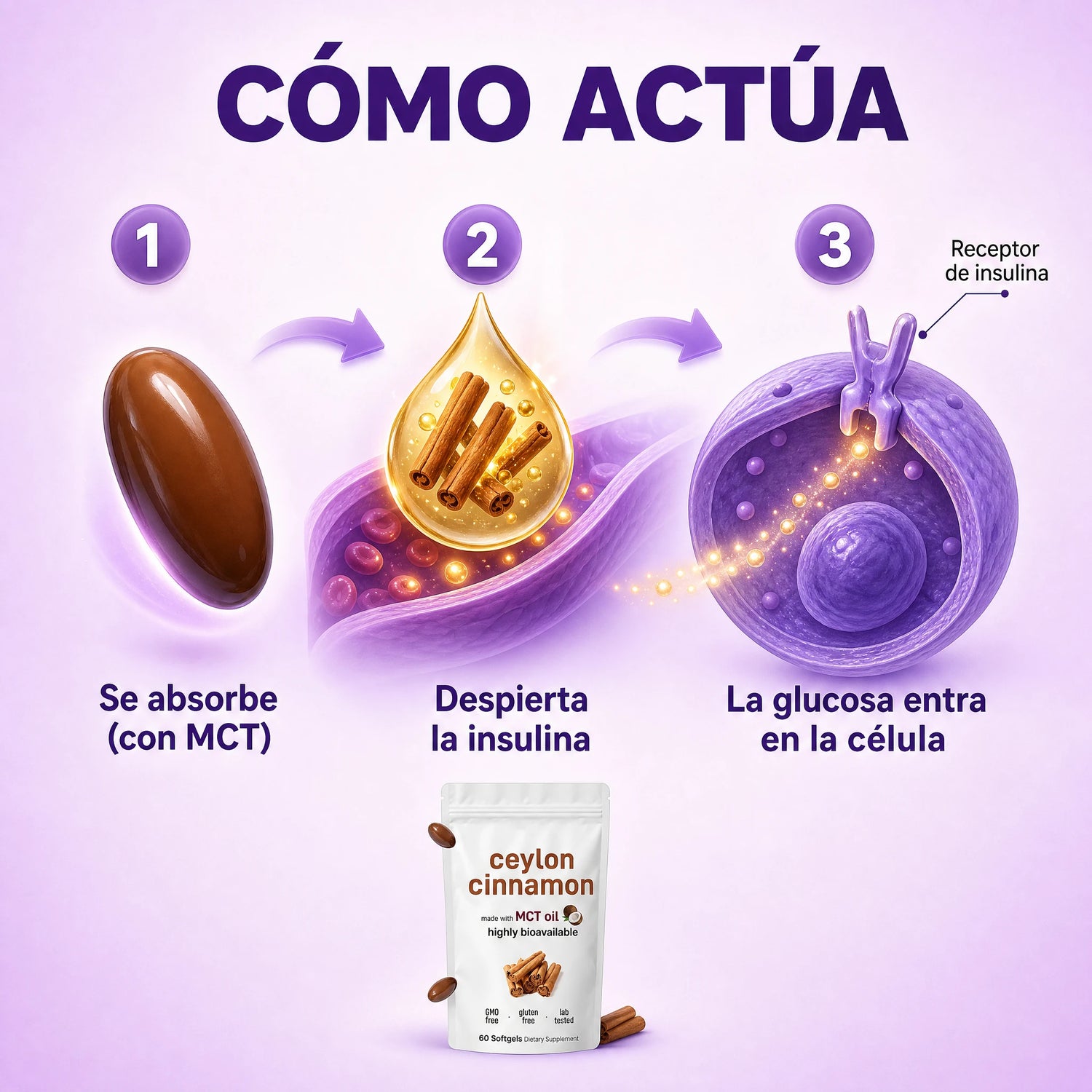 Ceylon slide 2 - como actua