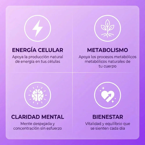 slide 02