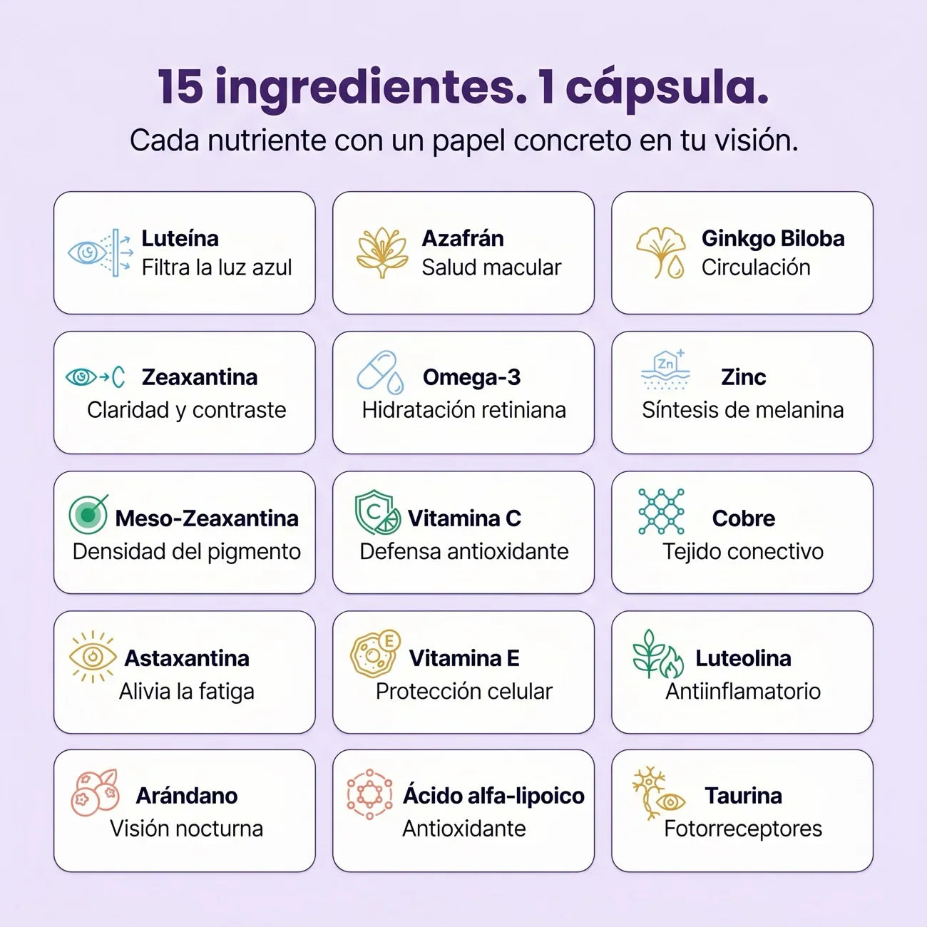 Visión Avanzada - 15 ingredientes en 1 cápsula
